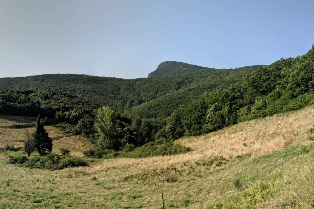 Le Belvedere Lairiere المظهر الخارجي الصورة